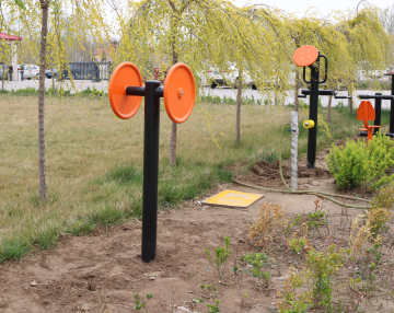 Affordable Arm Strength Trainer for Adults