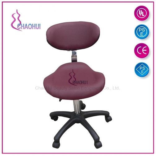 Beauty Master Chair