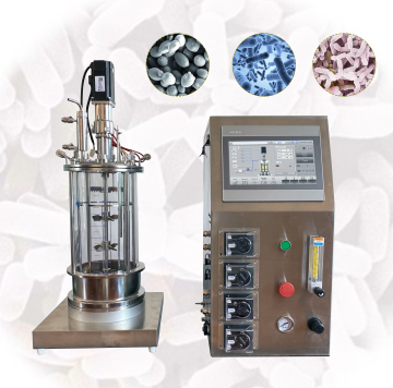 BIOF Series Laboratory Glass Fermenter - Ruiyuan Bioreactor