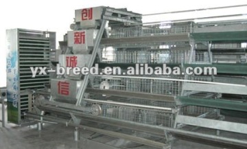 poultry house chicken cages for farm