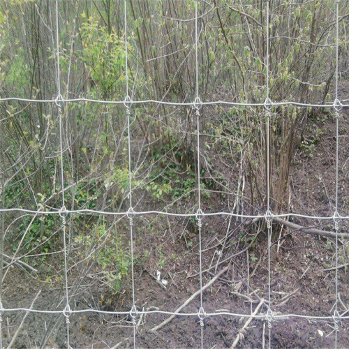 Hot dipped galvanized farm fence for deer fence