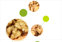 Original walnut kernel raw