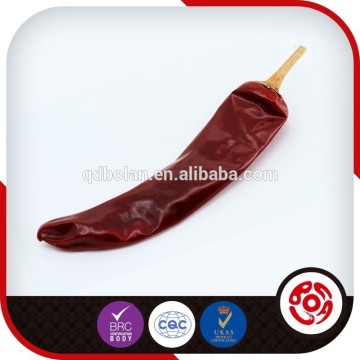 Nice Quality Super Hot Red Chilly