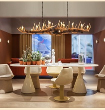 Deer Antler Chandelier and Light Fixtures: Rustic and Elegant Lighting Solutions