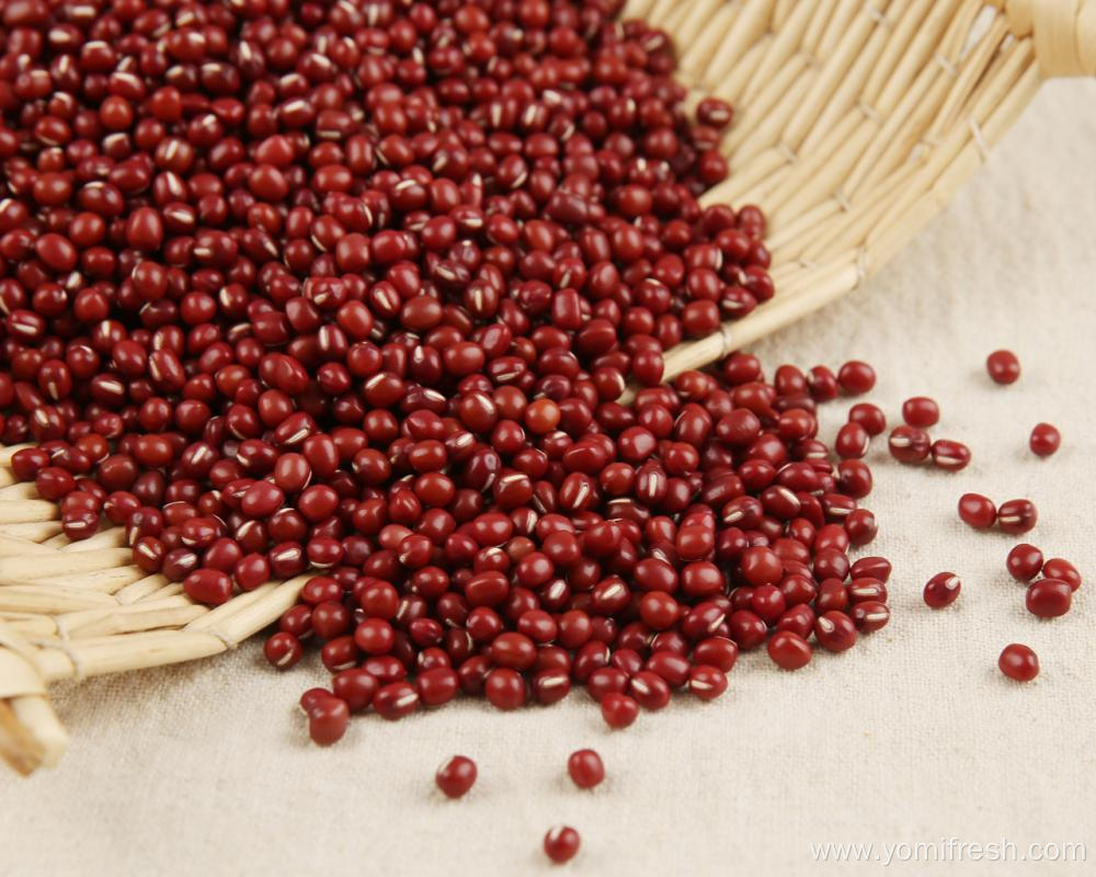 Red Bean For Weight Loss
