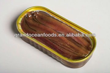 fresh anchovy