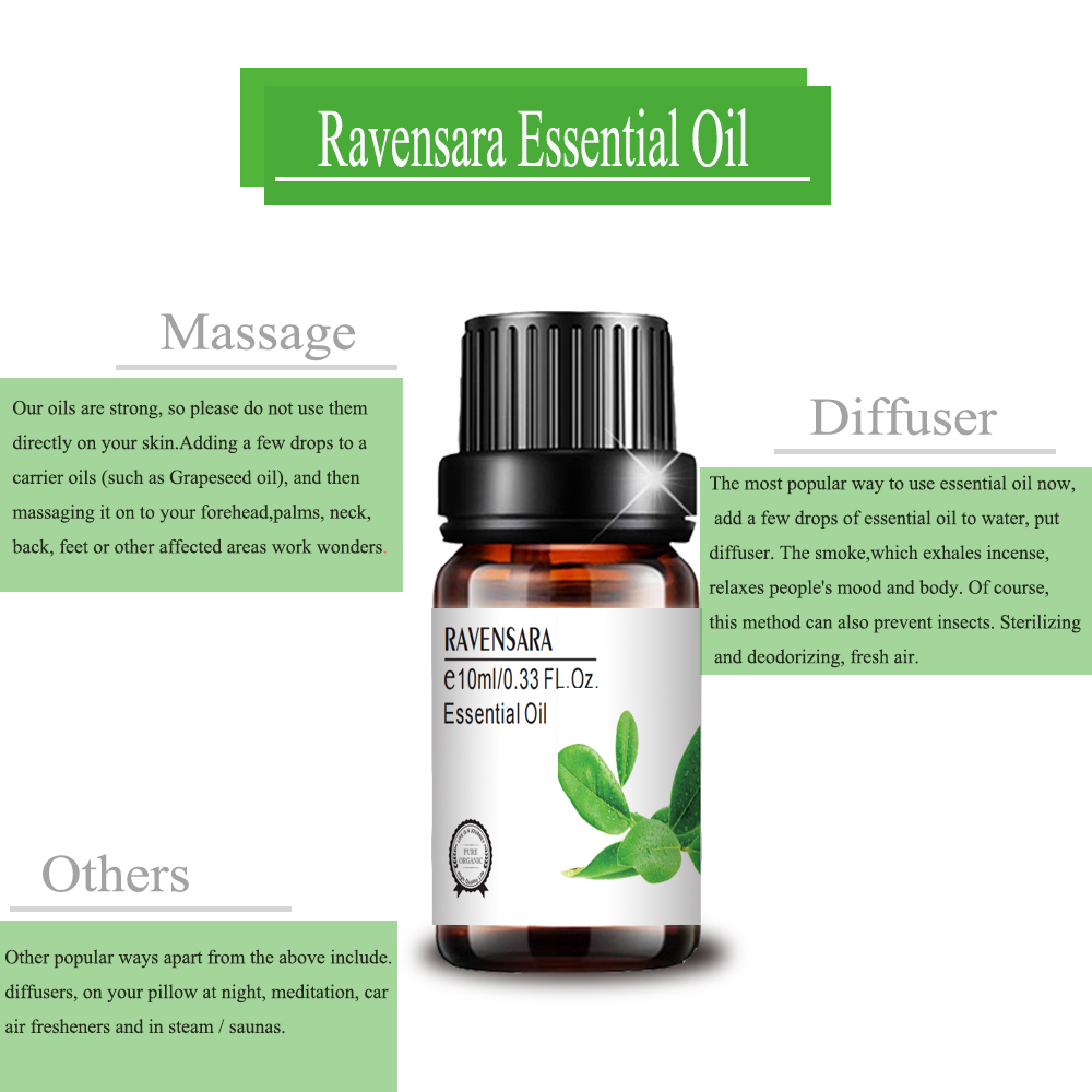 치료 등급 도매 개인 라벨 10ml Ravensara Oil