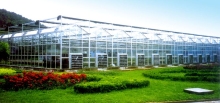 Polycarbonat Greenhouse Sheet