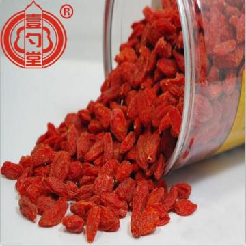 Fruits en vrac de baies de Goji séchées avec goût sucré