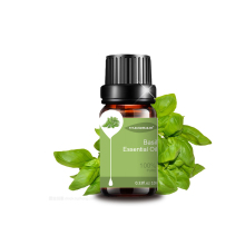 New Wholesale Basil Essential Oil( (ocimum basilicum) For Aromatherapy