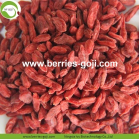 Factory Supply Natural Dried Wolfberries