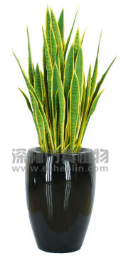 Best Sell artificial plant Agave Americana