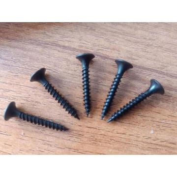 drywall screw black phillips