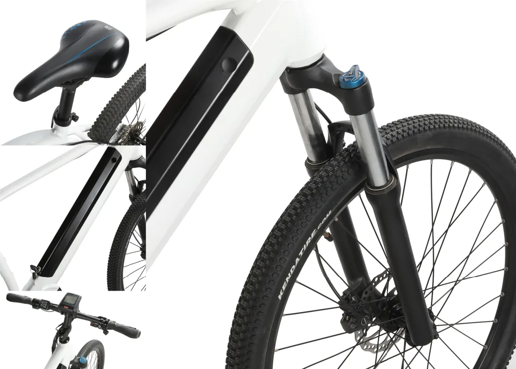EU Stand Urban Riding Ebike 36V250W Kit for Electric Bike Bafang Motor Bicycle