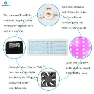 Cob 300W LED cresce luz para aeroponia