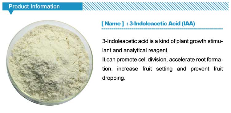 High quality 99%TC Indole 3 acetic acid IAA