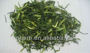 Dried Barley grass,Hordeum vulgare,Barley grass powder,Da mai,Food additive