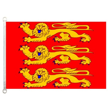 Haute-Normandie flag 90*150cm 100% polyster