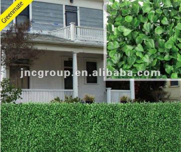 Latest Plastic Garden Hedges