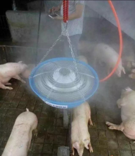 Alibaba malaysia poultry farming equipment misty fan