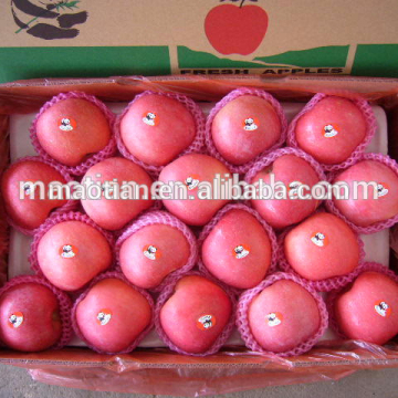 Super quality Reasonable price Fresh Red Fuji Apple