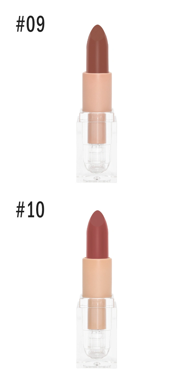 Top Quality Capsule Lipstick Matte Cosmetic Vintage Lipstick OEM Makeupred Lipstick Private Label