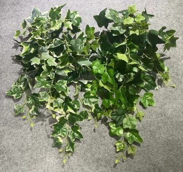 Wholesale Hanging Plants: Ivy and Vine for Wedding Decor
