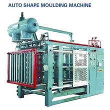 Molding Machine (EPS Machinery)
