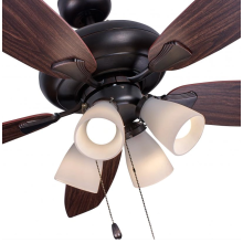 Multifunctional chandelier fan with remote control