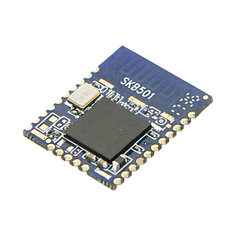 SKYLAB Cheap Long Distance Low Power Consumption Nordic nrf52840 BLE 5.0 Bluetooth Module in shenzhen