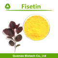 Extracto de árbol de humo farmacéutico Fisetin 98% HPLC Powder