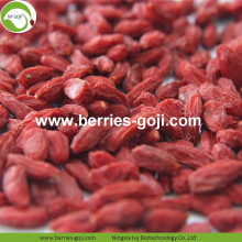 Lose Weight Dried Natural Healthy Himalayan Goji Berry