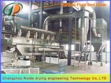 Sodium Formate Drying Machine