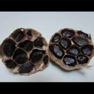 Nutritional Fermented Black Garlic Benefit