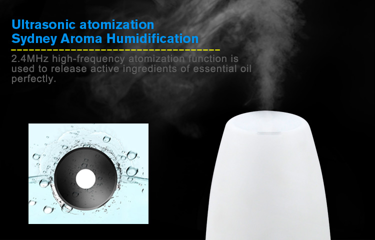 amazon humidifier canada