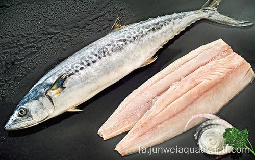 فیله ماهی خال مخالی منجمد اقیانوس آرام