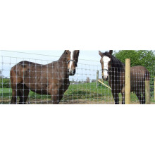 farm animal cattle filed sheep horse mesh fence