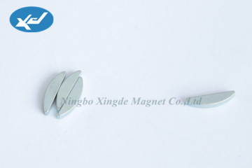 Special Shaped Sintered Ndfeb Magnets?