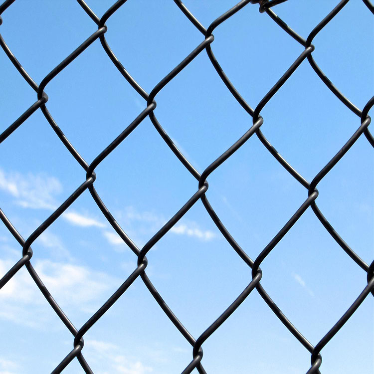 Hot Dipped Galvanized Chain Link Fence