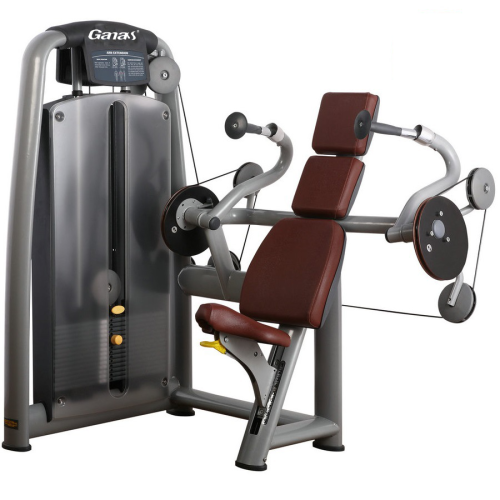 Professionell Commercial Gym Sittande Triceps Extension