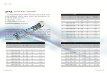ZYZSB type pressurized water injection pump