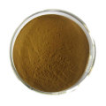 organic echinacea extract powder Bulk