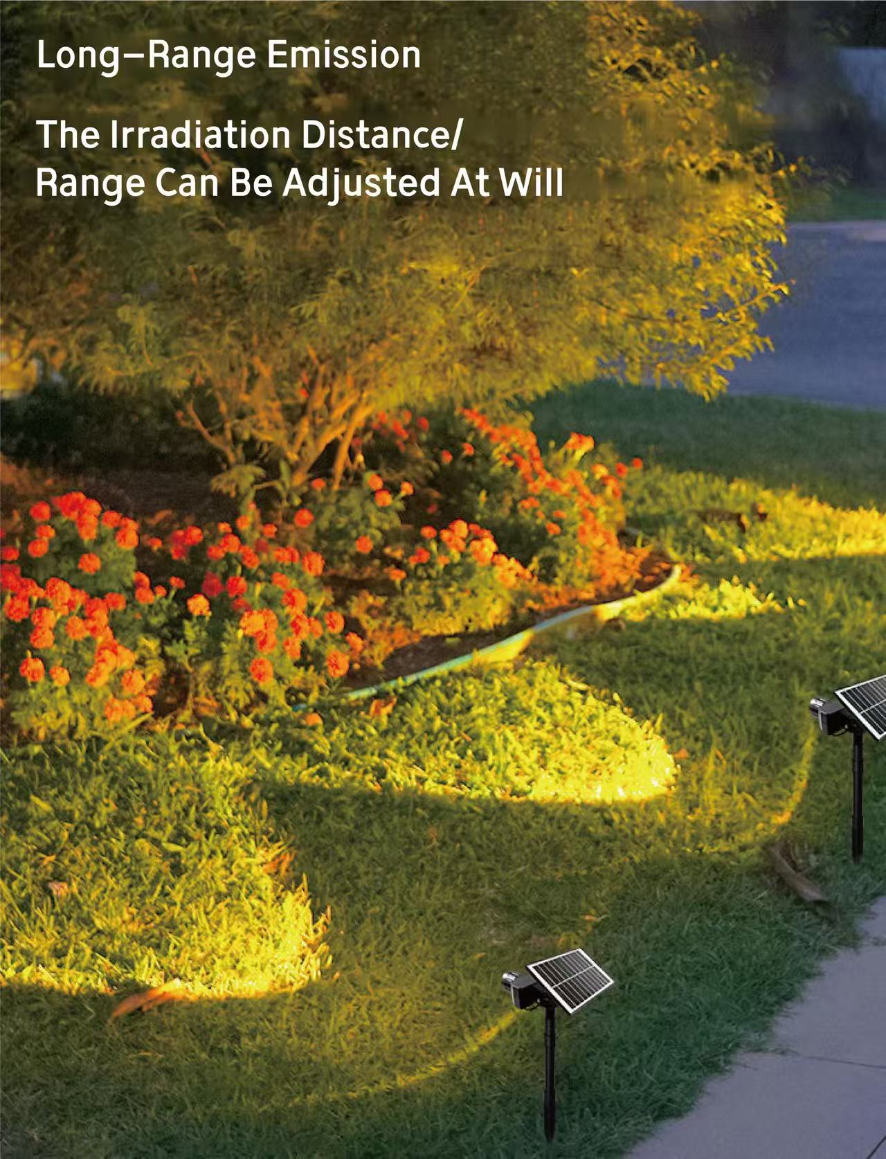 JX-DC006 Camera de luz de enchufe de enfoque ajustable JX-DC006 ADJUSTABLE FOCUS PLUG LIGHT-CAMERA