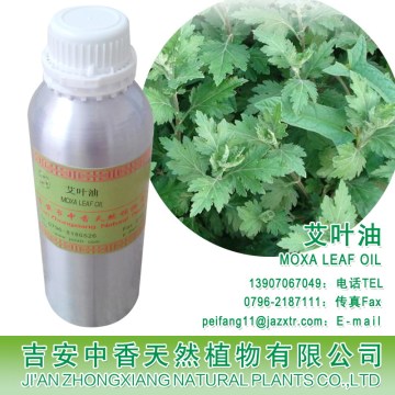 น้ำมันหอมระเหยบลูเมียบริสุทธิ์ 100% Artemisia Absinthium