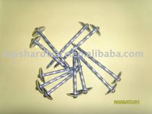 Screw shank Umbella nails