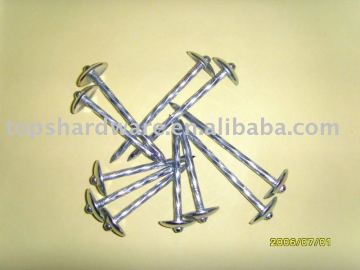 Screw shank Umbella nails