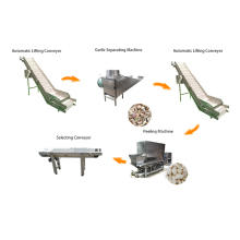 Garlic Clove Processing Production Line