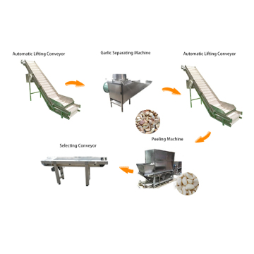 Garlic Clove Processing Production Line