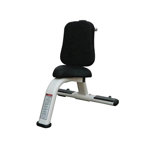 Fitness Seated Commercial Gym Equipment Utility Bench