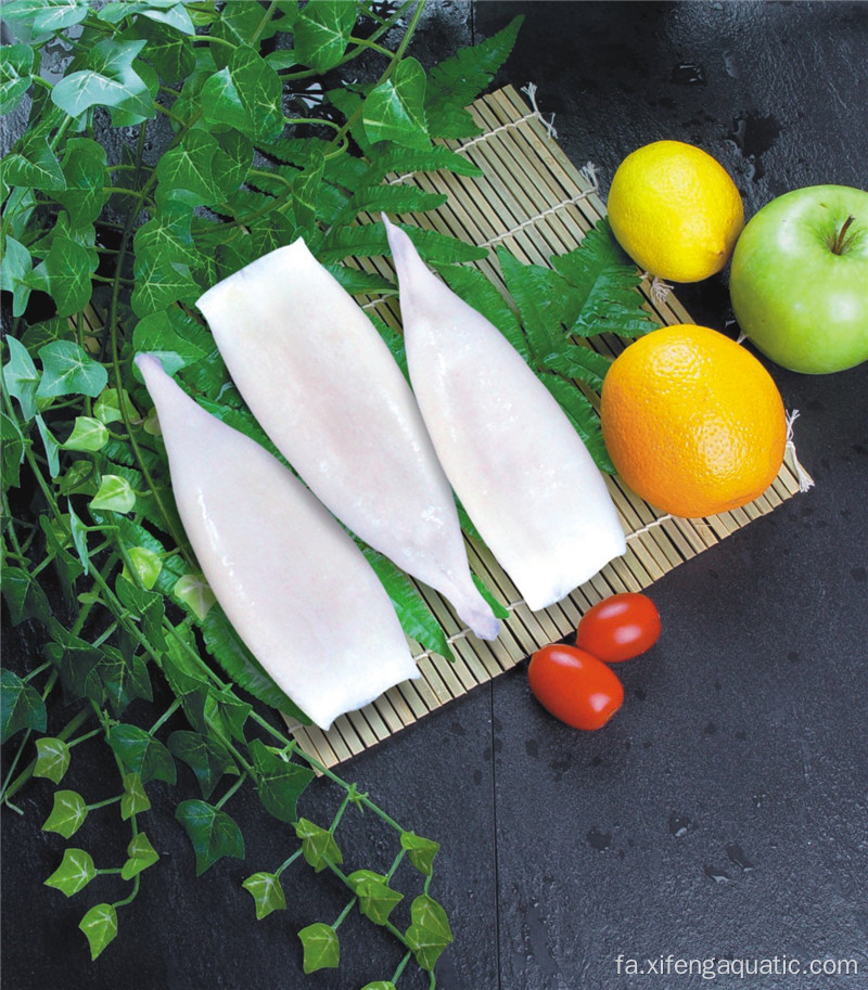 بهترین صید ماهی مرکب یخ زده ایلکس آرژانتین